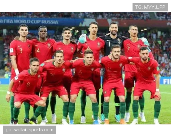 B费与厄德高中场组织能力差异及战术适配性解析